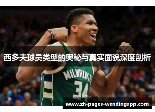 西多夫球员类型的奥秘与真实面貌深度剖析